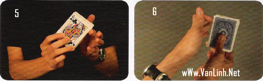 Hướng dẫn xòe bài (Fan Card) xb3 Hướng dẫn xòe bài (Fan Card)