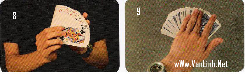 Hướng dẫn xòe bài (Fan Card) xb5 Hướng dẫn xòe bài (Fan Card)